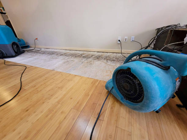 Professional Water Removal technician working in Willshire, OH